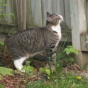 Meet your Posher, Ava